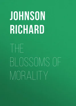 Richard Johnson The Blossoms of Morality обложка книги