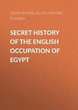 Wilfrid Blunt Secret History of the English Occupation of Egypt обложка книги