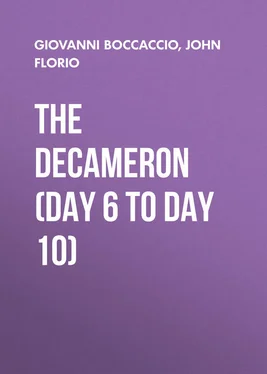 John Florio The Decameron (Day 6 to Day 10) обложка книги