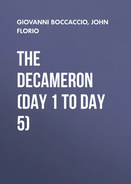 John Florio The Decameron (Day 1 to Day 5) обложка книги