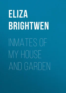 Eliza Brightwen Inmates of my House and Garden обложка книги