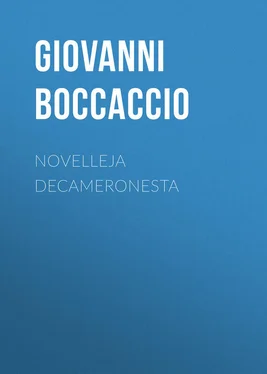 Giovanni Boccaccio Novelleja Decameronesta обложка книги