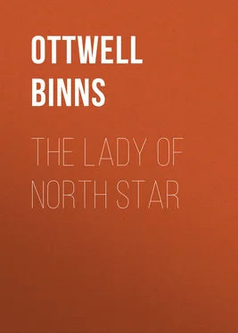 Ottwell Binns The Lady of North Star обложка книги