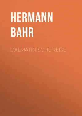 Hermann Bahr Dalmatinische Reise обложка книги