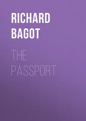 Richard Bagot - The Passport