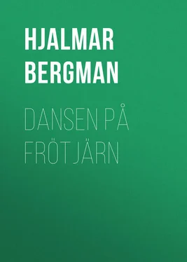 Hjalmar Bergman Dansen på Frötjärn обложка книги