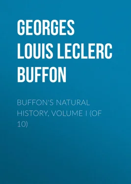 Georges Buffon Buffon's Natural History, Volume I (of 10) обложка книги