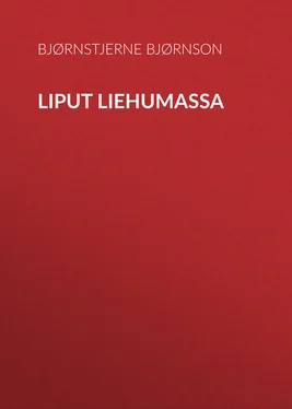 Bjørnstjerne Bjørnson Liput liehumassa обложка книги