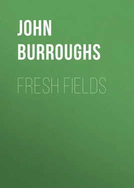 John Burroughs Fresh Fields обложка книги