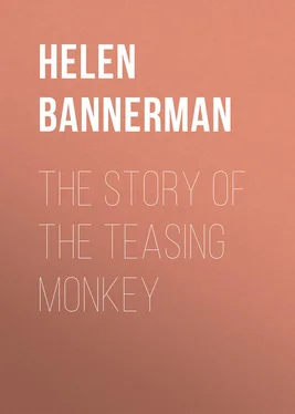 Helen Bannerman The Story of the Teasing Monkey обложка книги