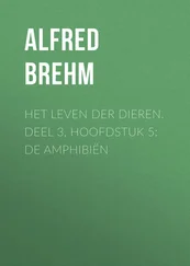 Alfred Brehm - Het Leven der Dieren. Deel 3, Hoofdstuk 5 - De Amphibiën