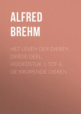 Alfred Brehm Het Leven der Dieren. Derde Deel, Hoofdstuk 1 tot 4, De Kruipende Dieren обложка книги