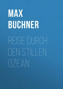 Max Buchner Reise durch den Stillen Ozean обложка книги