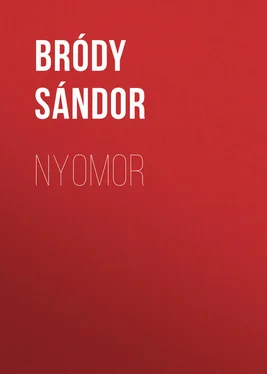 Sándor Bródy Nyomor обложка книги