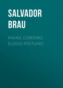 Salvador Brau Rafael Cordero: Elogio Póstumo обложка книги