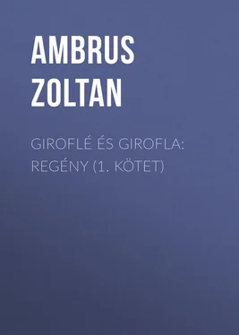 Ambrus Zoltan Giroflé és Girofla: Regény (1. kötet) обложка книги