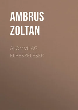 Ambrus Zoltan Álomvilág: Elbeszélések обложка книги