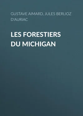 Gustave Aimard Les Forestiers du Michigan обложка книги