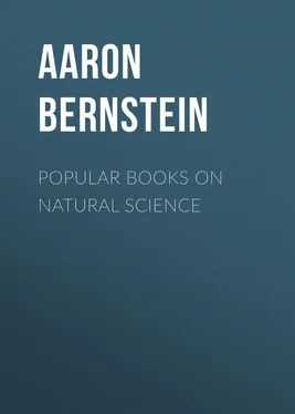 Aaron Bernstein Popular Books on Natural Science обложка книги