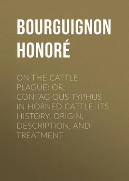 Honoré Bourguignon On the cattle plague: or, Contagious typhus in horned cattle. Its history, origin, description, and treatment обложка книги