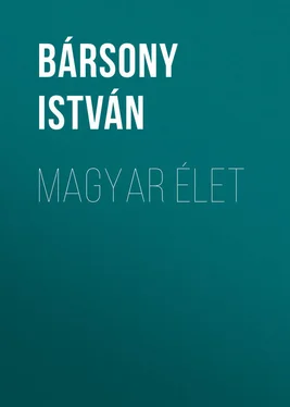 István Bársony Magyar élet обложка книги