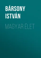 István Bársony - Magyar élet