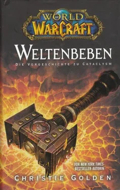 Christie Golden Weltenbeben: Die Vorgeschichte zu Cataclysm обложка книги