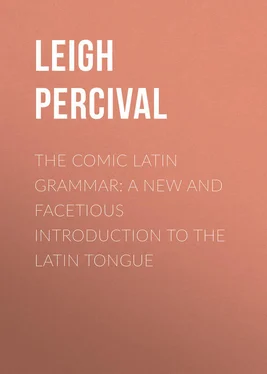 Percival Leigh The Comic Latin Grammar: A new and facetious introduction to the Latin tongue обложка книги