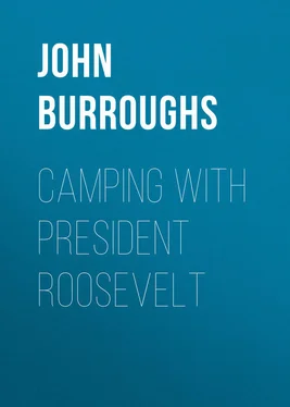 John Burroughs Camping with President Roosevelt обложка книги