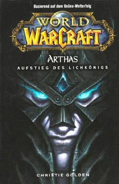 Christie Golden Arthas: Aufstieg des Lichkönigs обложка книги