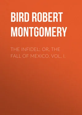 Robert Bird The Infidel; or, the Fall of Mexico. Vol. I. обложка книги