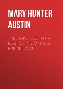 Mary Austin The Basket Woman: A Book of Indian Tales for Children обложка книги