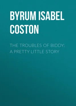 Isabel Byrum The Troubles of Biddy: A Pretty Little Story обложка книги