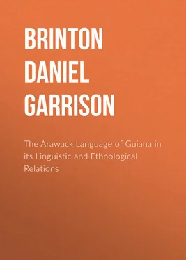 Daniel Brinton The Arawack Language of Guiana in its Linguistic and Ethnological Relations обложка книги