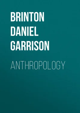 Daniel Brinton Anthropology обложка книги