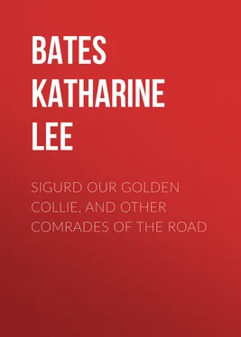 Katharine Bates Sigurd Our Golden Collie, and Other Comrades of the Road обложка книги