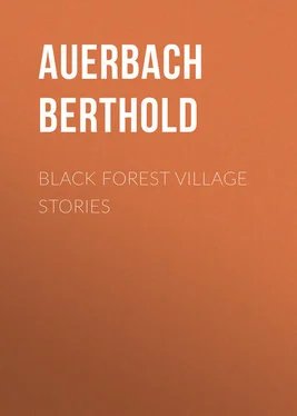 Berthold Auerbach Black Forest Village Stories обложка книги