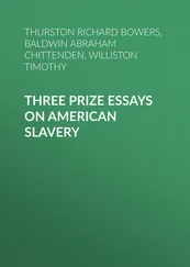 Timothy Williston - Three Prize Essays on American Slavery