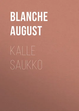 August Blanche Kalle Saukko обложка книги