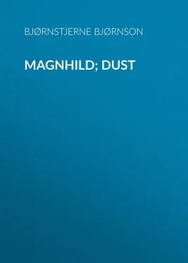 Bjørnstjerne Bjørnson Magnhild; Dust обложка книги