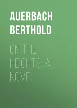 Berthold Auerbach On the Heights: A Novel обложка книги