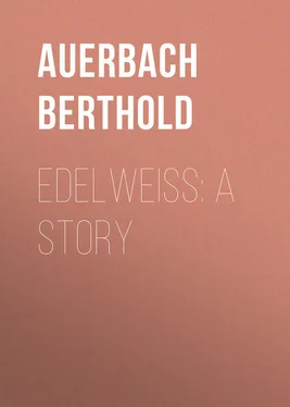 Berthold Auerbach Edelweiss: A Story обложка книги