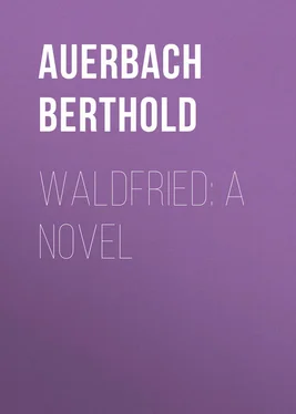 Berthold Auerbach Waldfried: A Novel обложка книги