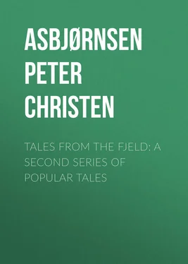 Peter Asbjørnsen Tales from the Fjeld: A Second Series of Popular Tales обложка книги