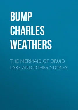 Charles Bump The Mermaid of Druid Lake and Other Stories обложка книги