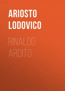Lodovico Ariosto Rinaldo ardito обложка книги