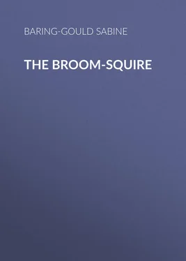 Sabine Baring-Gould The Broom-Squire обложка книги