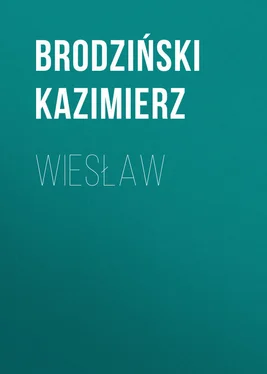 Kazimierz Brodziński Wiesław обложка книги
