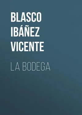 Vicente Blasco Ibáñez La bodega обложка книги