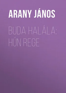 János Arany Buda halála: Hún rege обложка книги